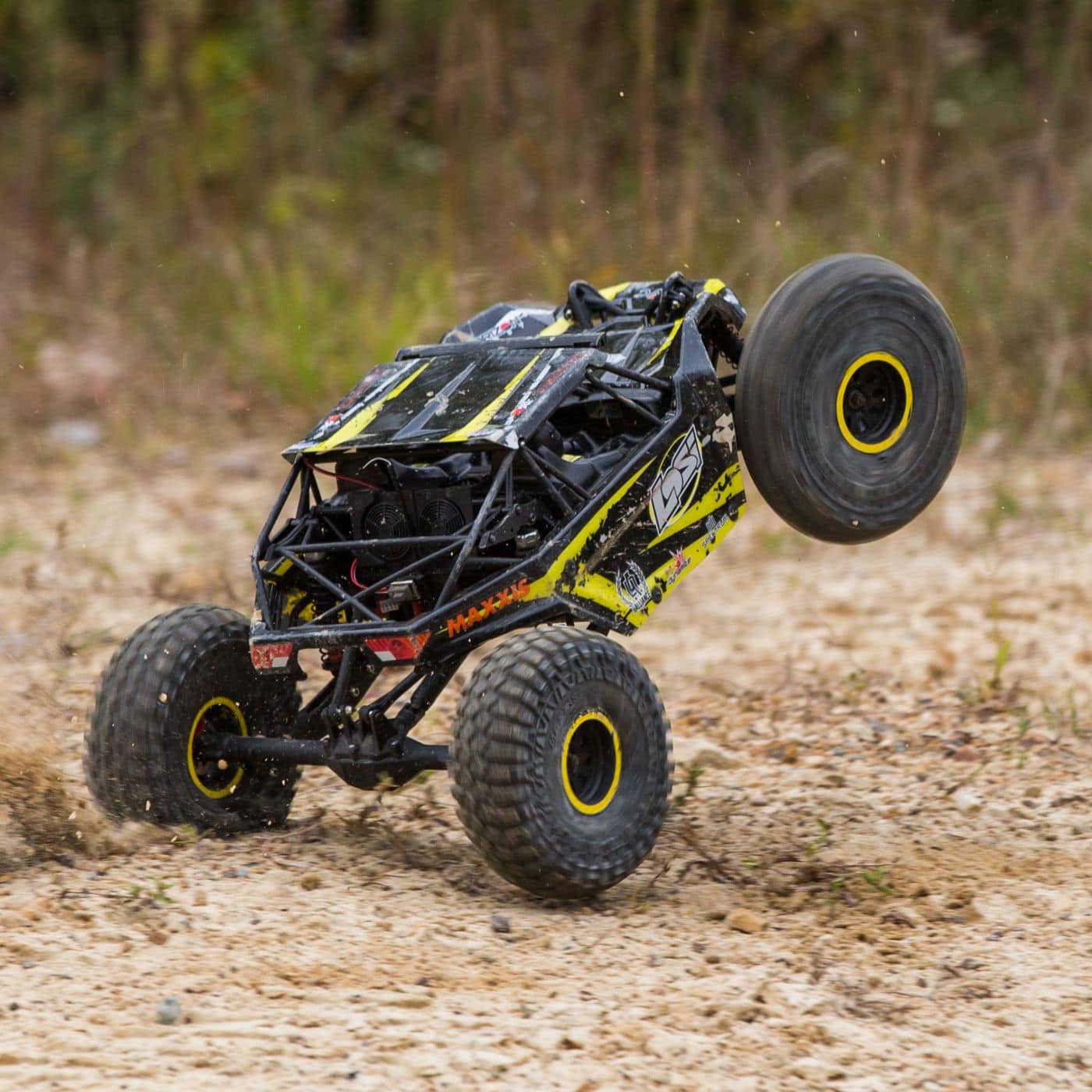 Losi Rock Rey Wheelie